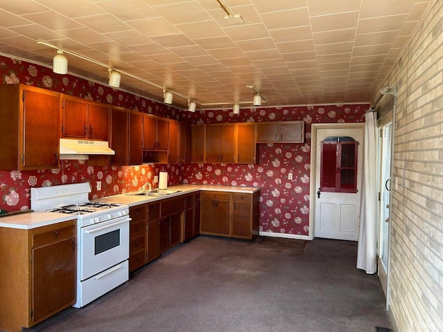 kitchen with dark colored carpet, sink, and gas range gas stove