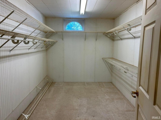 spacious closet with carpet flooring