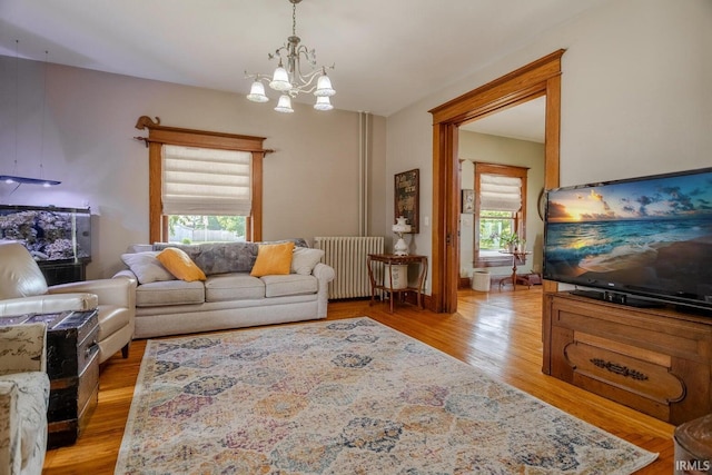 living room with radiator, a notable chandelier, and light wood-type flooring