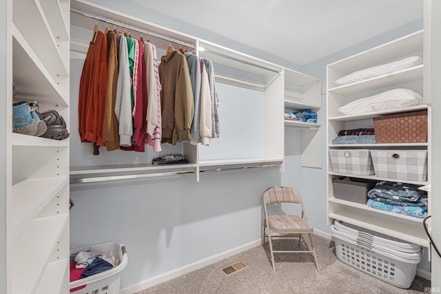 spacious closet featuring carpet