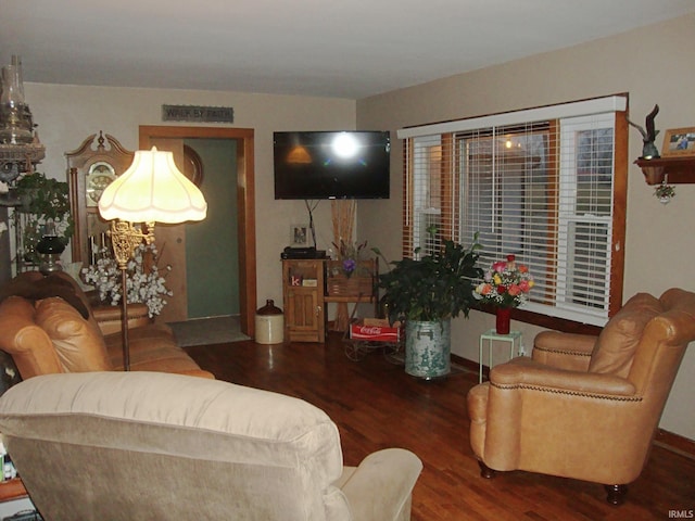 living room with dark hardwood / wood-style flooring