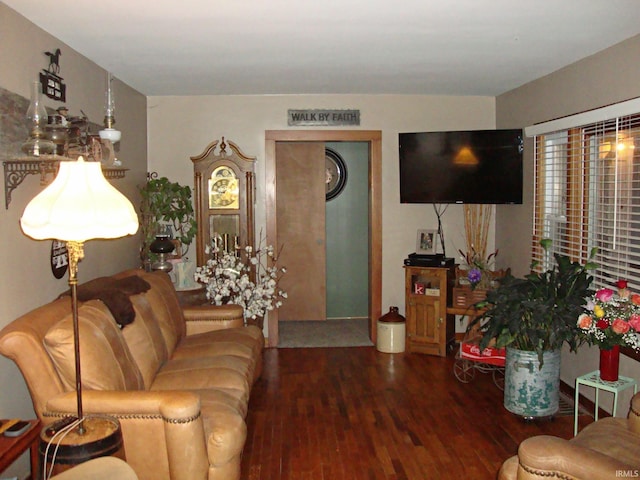 living room with hardwood / wood-style flooring