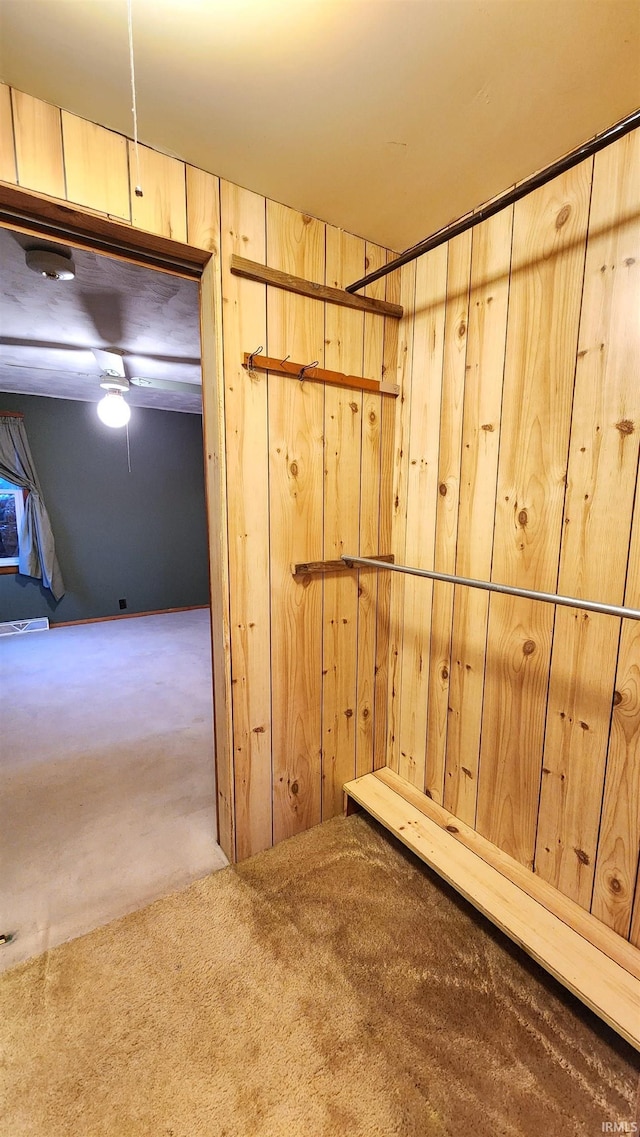 interior space with wooden walls