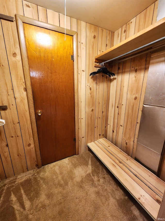 interior space with carpet floors and wood walls