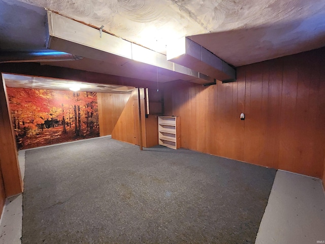 basement with wooden walls