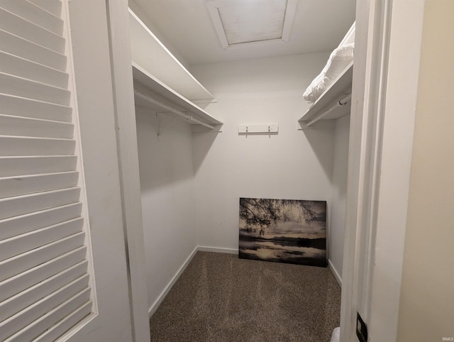 spacious closet with carpet floors