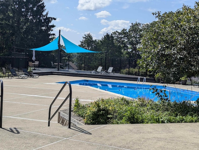 view of swimming pool with a patio