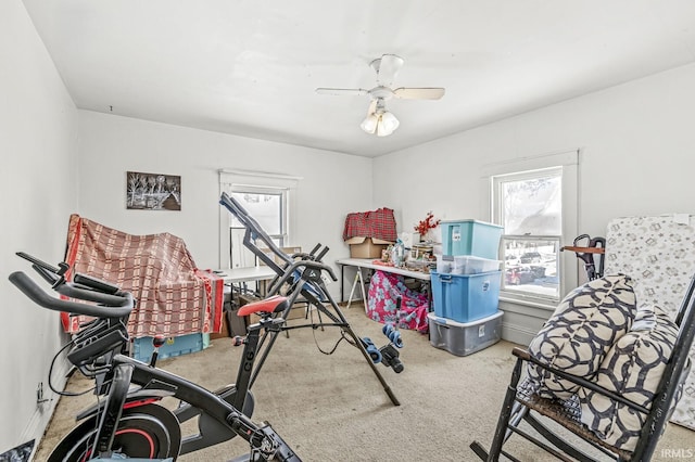 workout room featuring ceiling fan and carpet flooring