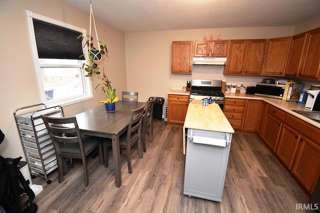 kitchen featuring appliances with stainless steel finishes, butcher block counters, sink, and dark hardwood / wood-style flooring