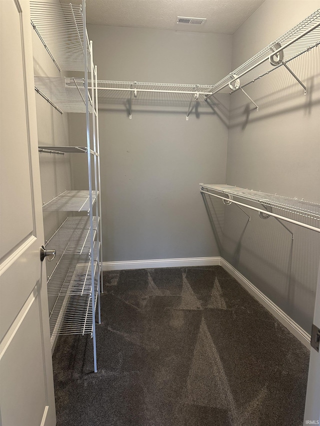 spacious closet featuring carpet floors