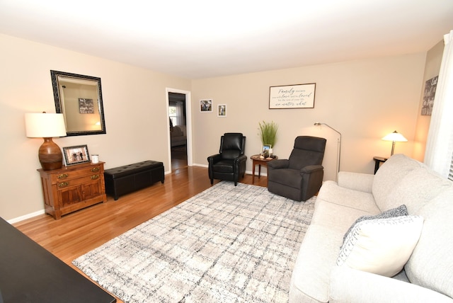 living room with hardwood / wood-style floors