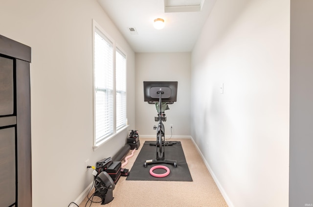 exercise room featuring a healthy amount of sunlight and carpet flooring