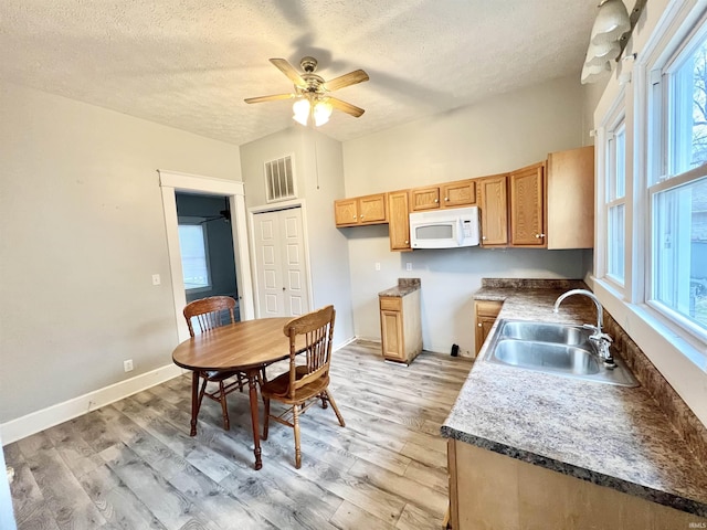 kitchen with sink, light hardwood / wood-style flooring, a textured ceiling, and ceiling fan