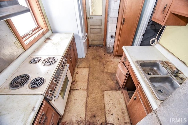 kitchen with white refrigerator, stovetop, and sink