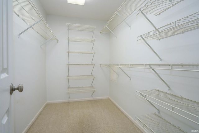 spacious closet with carpet flooring