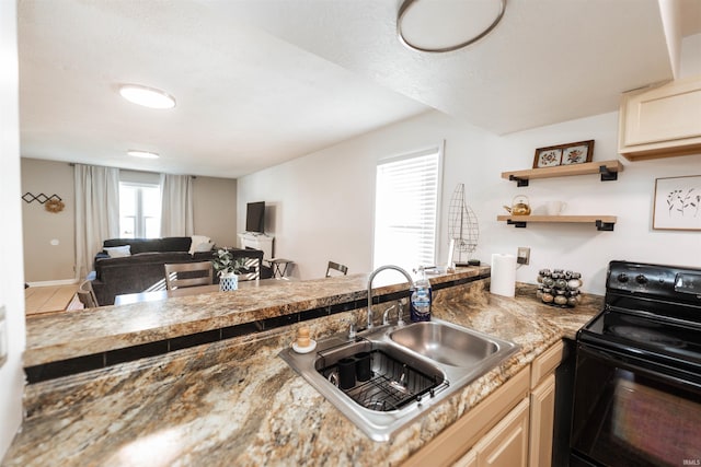 kitchen with black range with electric stovetop and sink