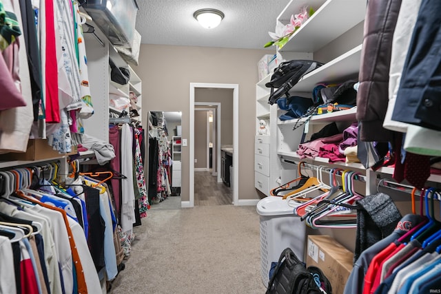 spacious closet with light carpet