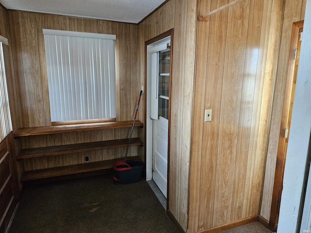 interior space featuring dark colored carpet and wood walls