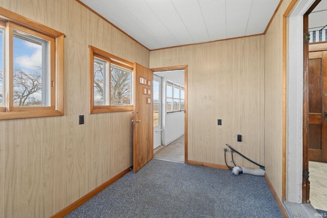 interior space featuring ornamental molding, carpet, and wooden walls