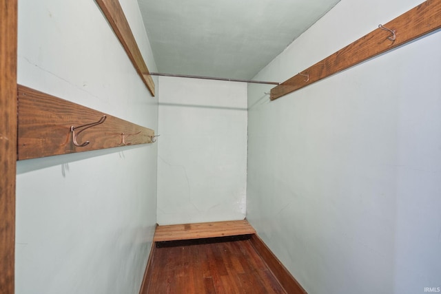 spacious closet featuring dark wood-type flooring