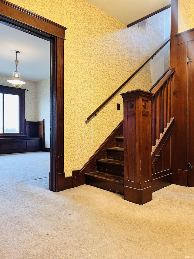 stairs featuring carpet flooring