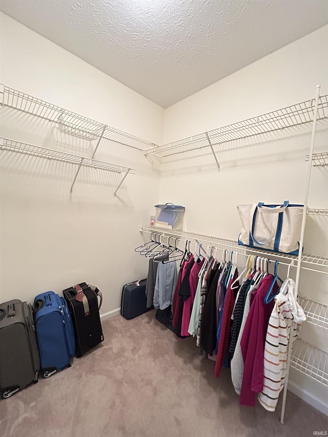 spacious closet featuring carpet flooring