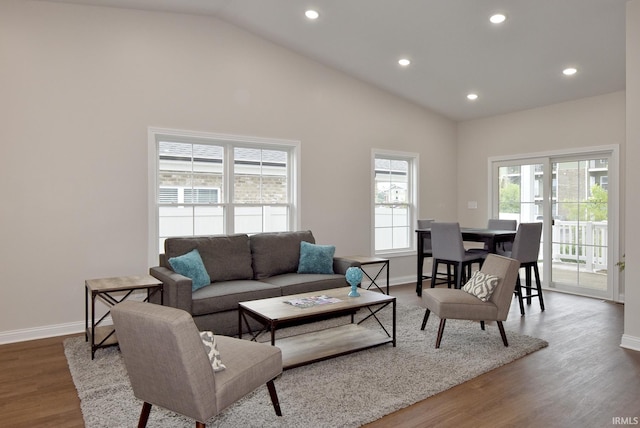 living room featuring wood-type flooring and high vaulted ceiling