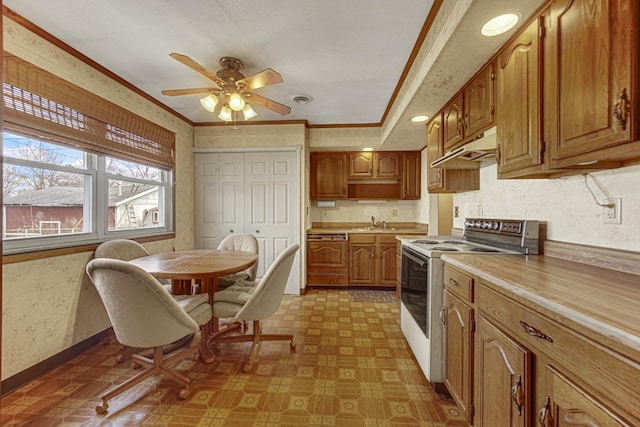 kitchen with ceiling fan, ornamental molding, sink, and electric range oven