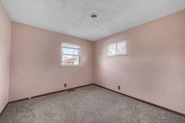 carpeted empty room featuring a wealth of natural light and a textured ceiling