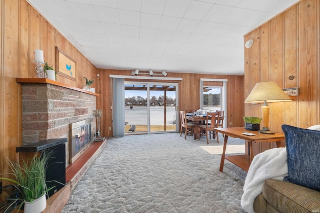 living room featuring carpet floors and wood walls