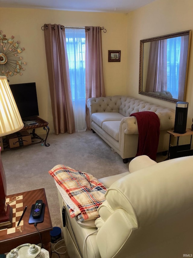 living room featuring carpet flooring