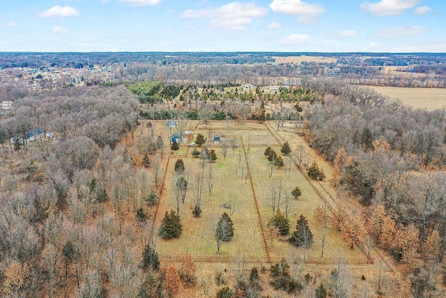 drone / aerial view with a rural view