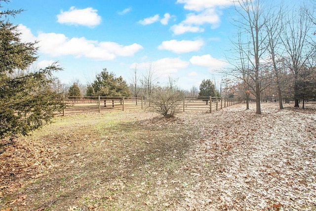 view of yard featuring a rural view