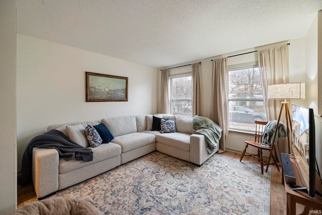 living room featuring hardwood / wood-style flooring and a textured ceiling