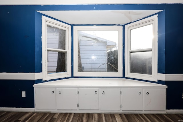 bathroom featuring wood-type flooring