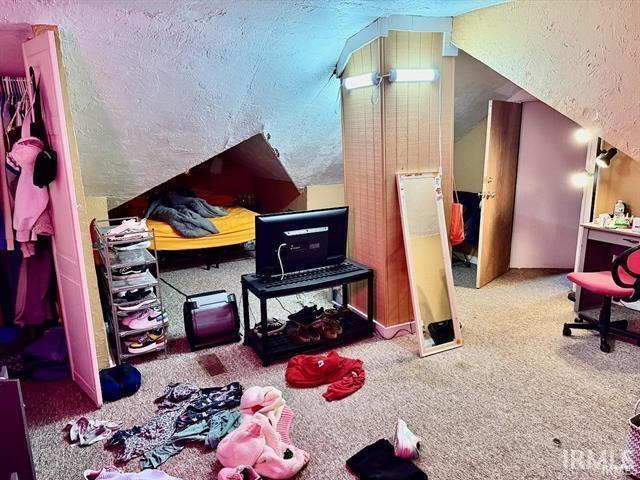 miscellaneous room featuring lofted ceiling, a textured ceiling, and carpet