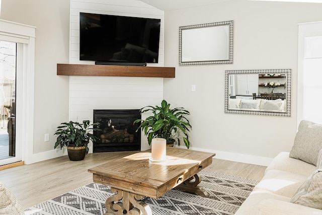 living room featuring a large fireplace and wood-type flooring