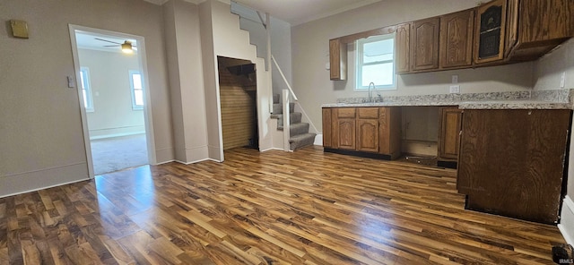 519 W 5th St, Mount Carmel, IL 62863 - kitchen featuring crown molding, sink, and dark hardwood / wood-style flooring