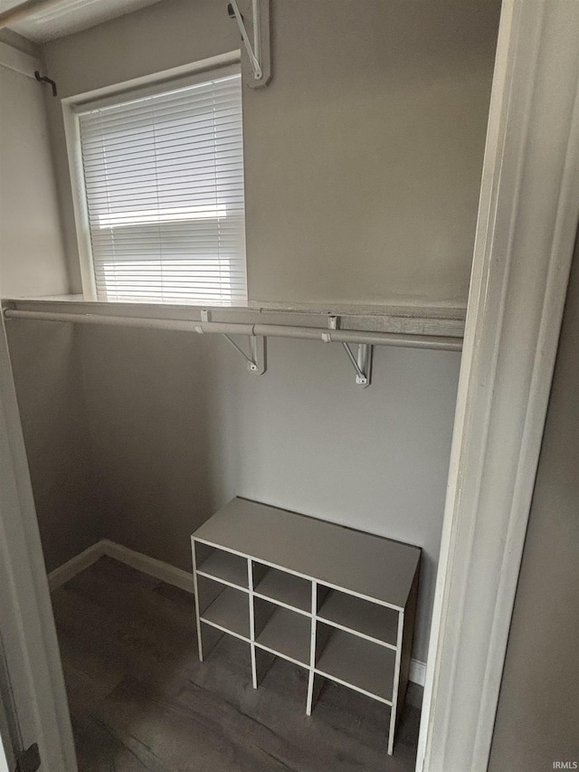 spacious closet featuring wood-type flooring