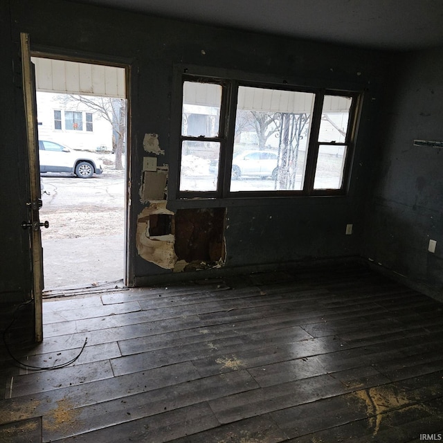 foyer entrance featuring dark hardwood / wood-style floors