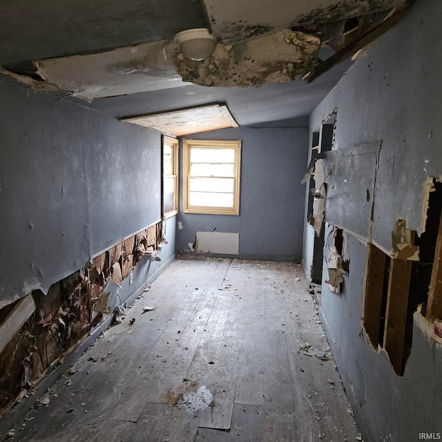 miscellaneous room featuring vaulted ceiling