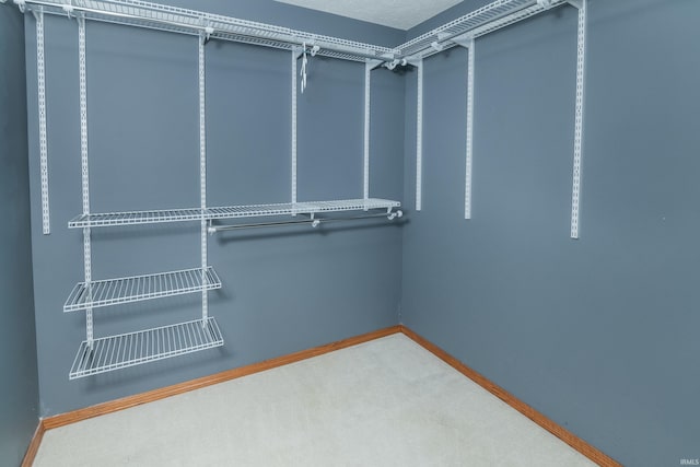 walk in closet featuring carpet