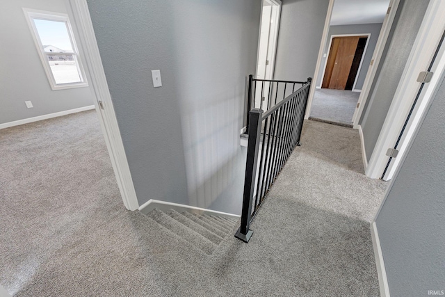 staircase featuring carpet