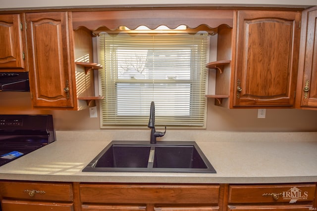 kitchen featuring sink, black electric range, and ventilation hood