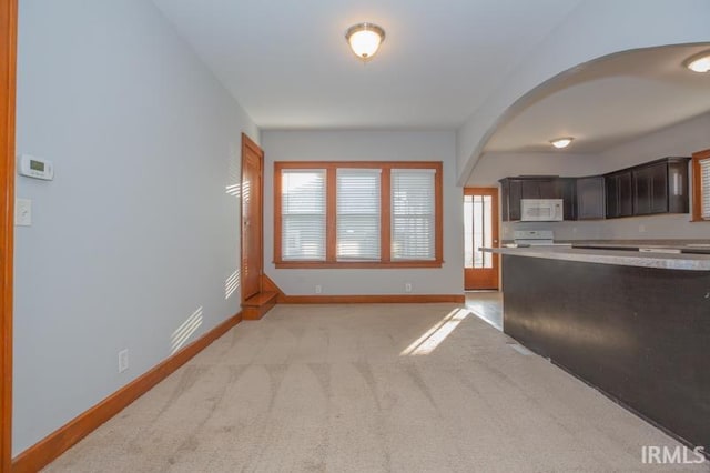 kitchen with stove, dark brown cabinets, and light colored carpet