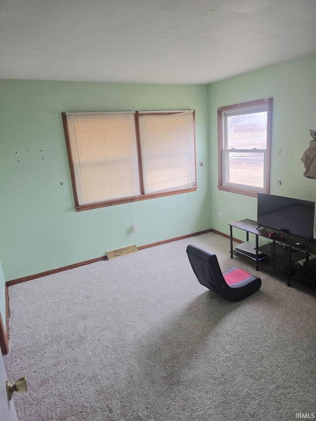 sitting room featuring carpet