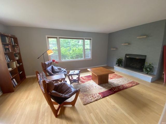 living room featuring light hardwood / wood-style flooring