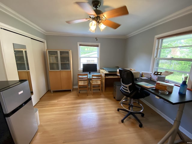 office area with crown molding, ceiling fan, and light wood-type flooring