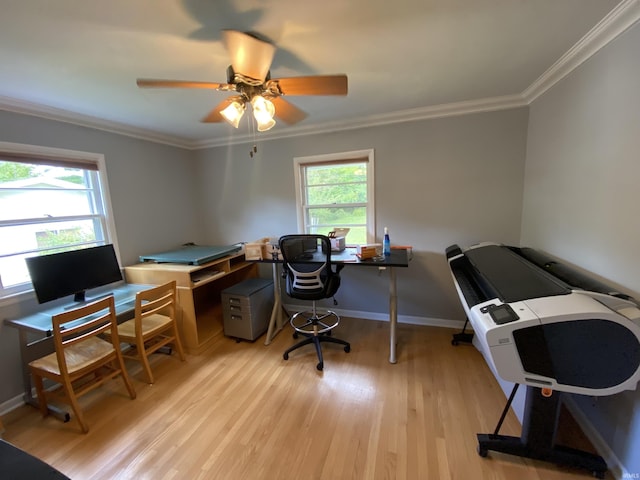 home office featuring crown molding, ceiling fan, and light hardwood / wood-style flooring