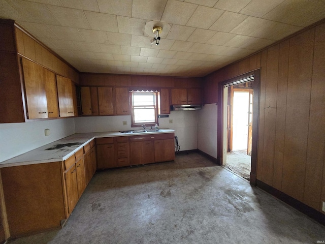 kitchen with sink and wood walls